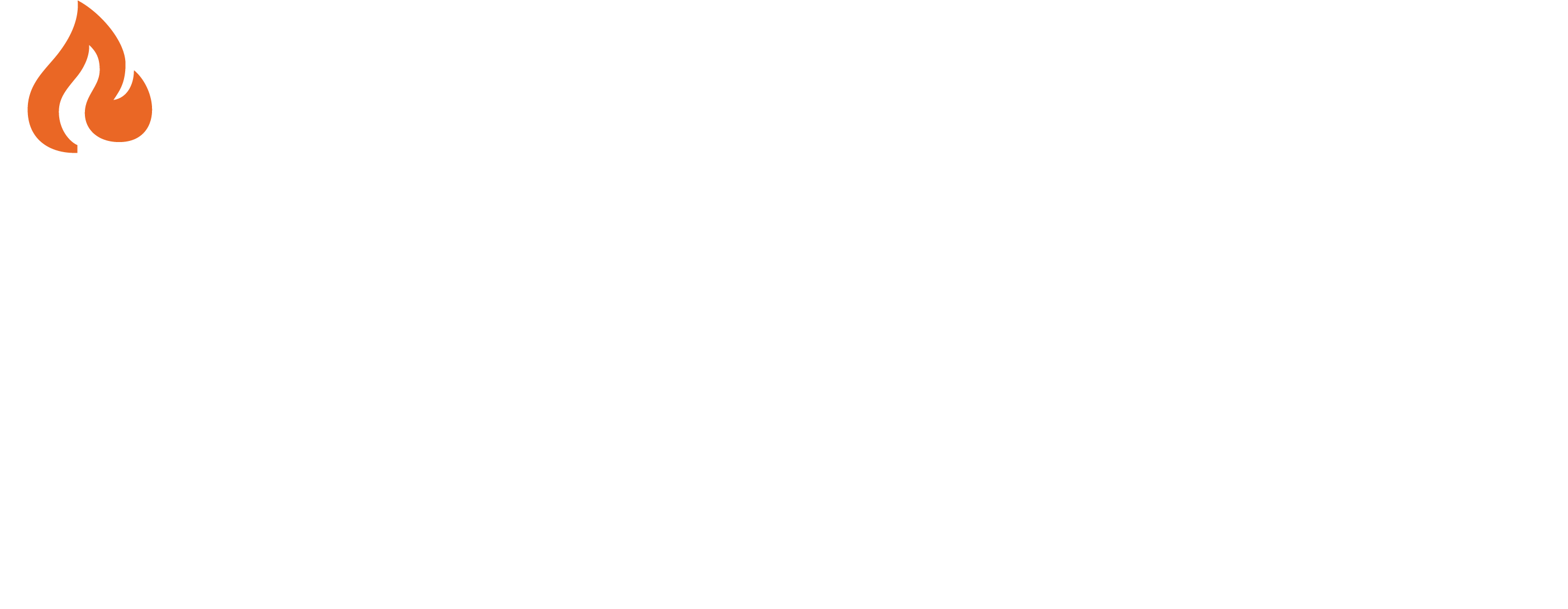 AAFP Logo white