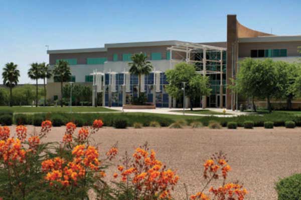 ATSU-SOMA Mesa Building - flowers in foreground