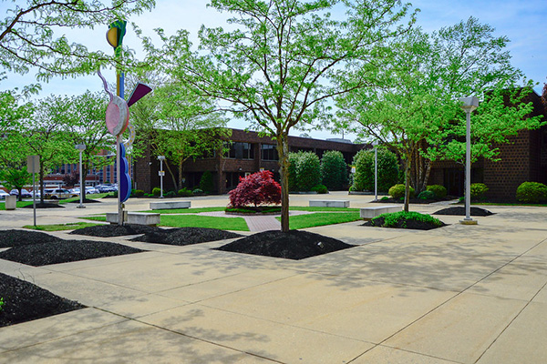 Osteopath outdoor garden