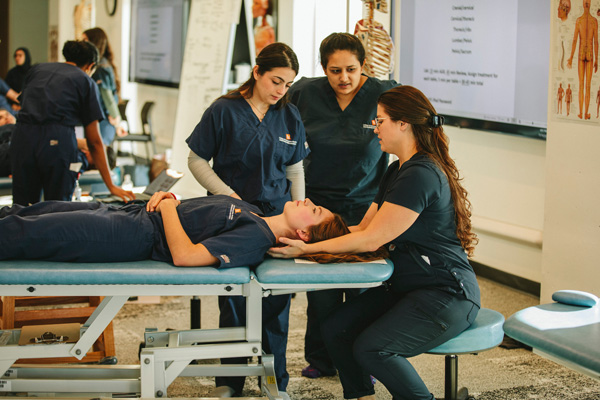SHSU-COM students practicing osteopathic manipulation in class