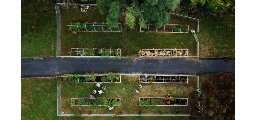 Aerial view of gardens