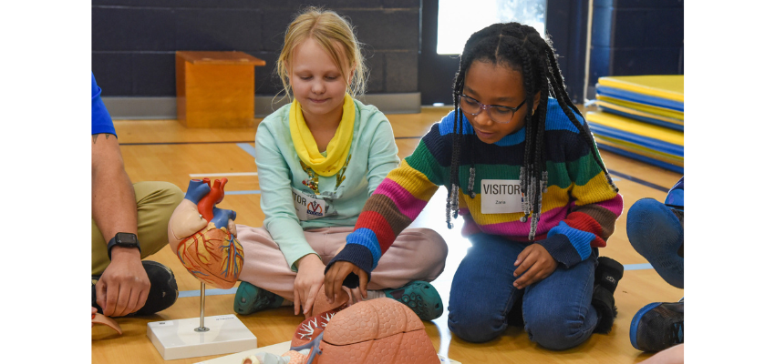 Two children play with anatomical models