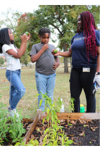 Medical student shares techniques on gardening