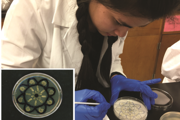 A UAB student and her agar art consisting of two colorful soil microbes shaped in a “mandala” she designed.