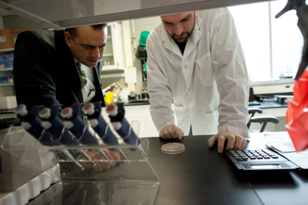 Dr. Amalfitano in the lab with a student both leaning over a work bench in a laboratory setting examining a petri dish