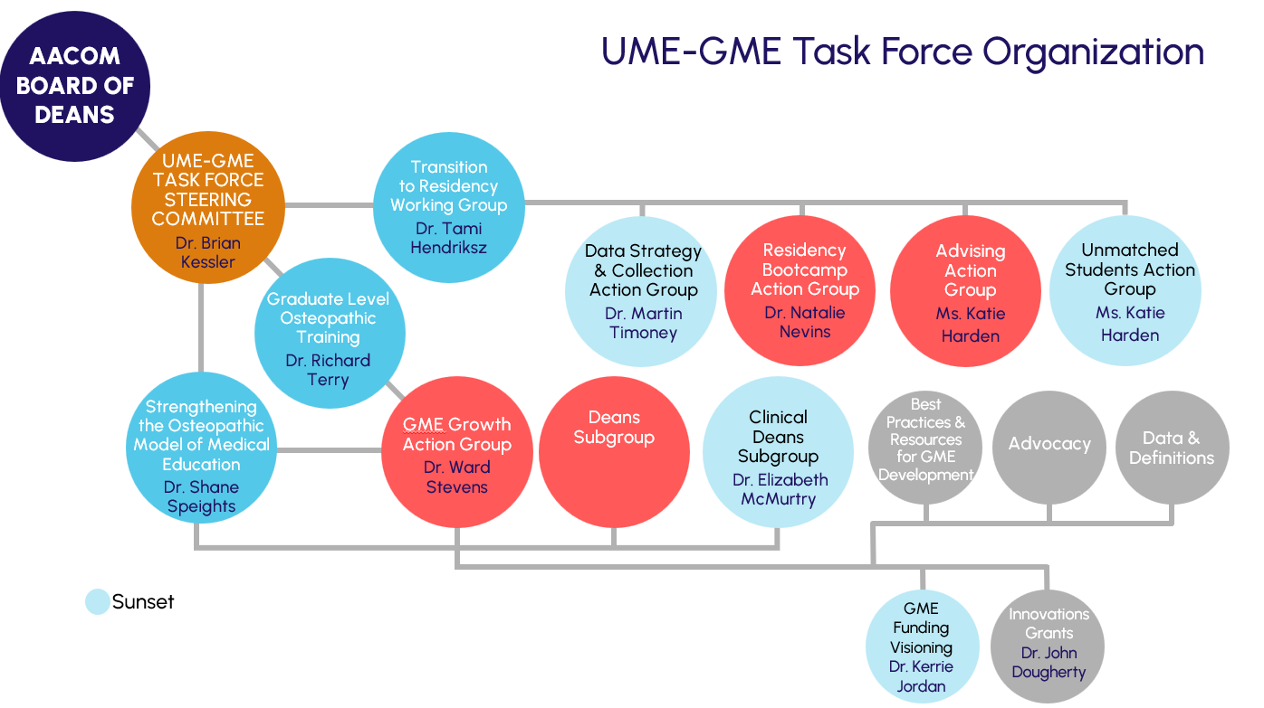 UME-GME Task Force Organization chart
