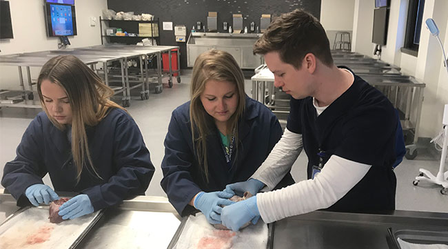 NYITCOMAState_CR_06272019