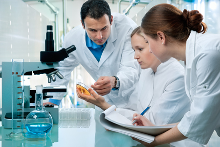 Doctors examining a petrie dish in a laboratory