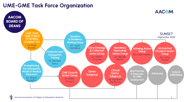 UME-GME Task Force Organization UME GME Task Force Steering Committee has 3 focus areas, 6 Action Groups and 3 subgroups