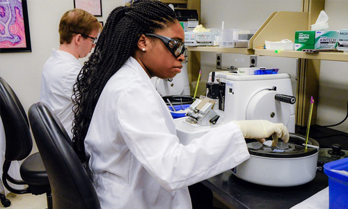 Rowan-Virtua students conducting experiments in a lab.
