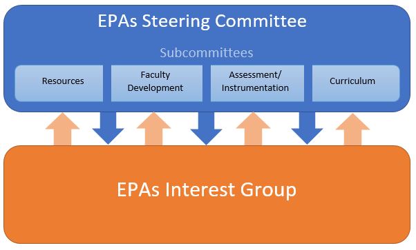 4 EPAs Steering Committees interact with the EPAs Interest Group